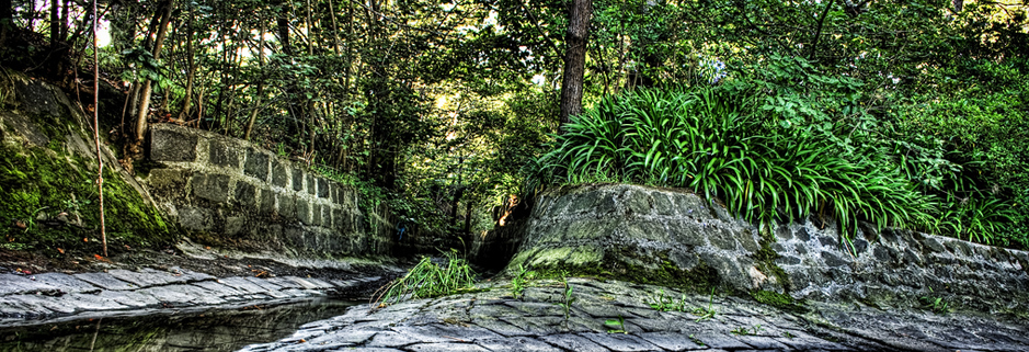 容量规划的获取手机号验证码平台